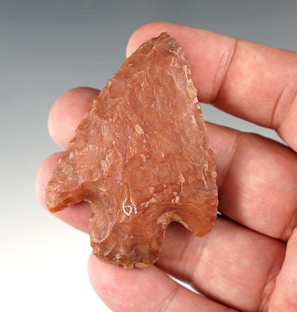 2 7/16" Stemmed Arkansas point that is nicely styled and made from Novaculite. Ex. Jon Dickinson.