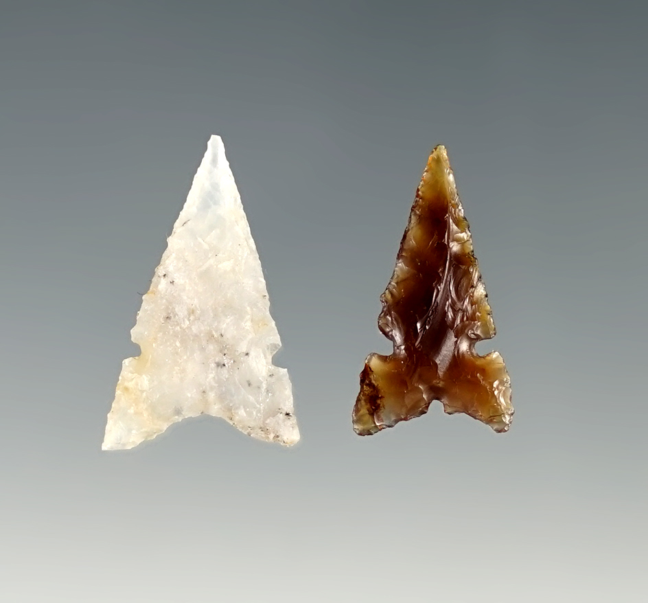 Pair of finely made Desert Sierra points found close to the Wakemap Mound, Washington.