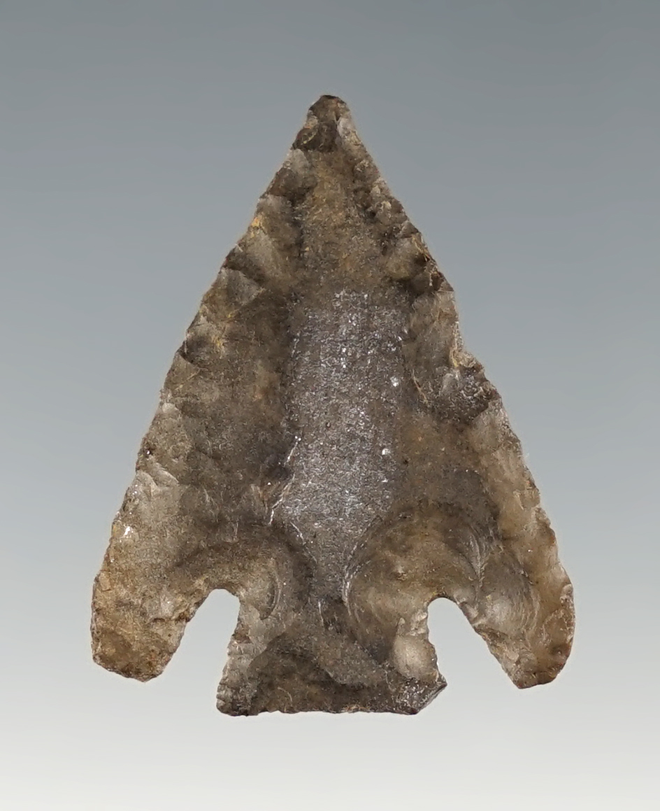 1 3/16" Hell's Canyon found in Benton Co., Washington.