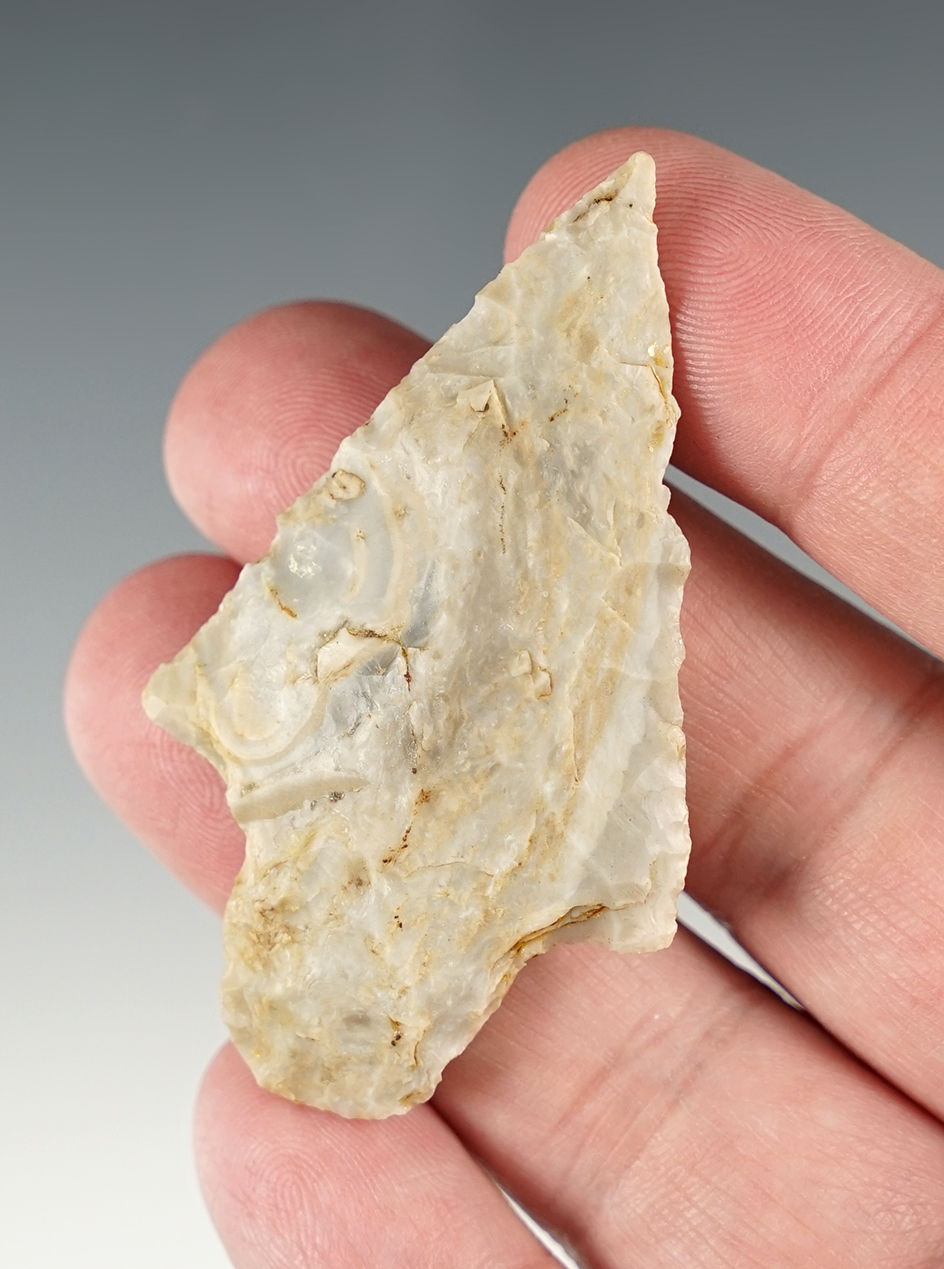 2 7/16" Dickson found in the Missouri/Illinois area. Ex. Bob Taggart, Jon Dickinson collections.