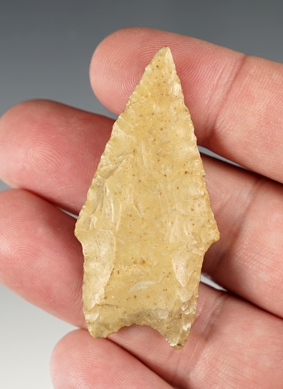 2 3/16" Texas Pedernales in good condition. Ex. Bob Taggart, Jon Dickinson collections.