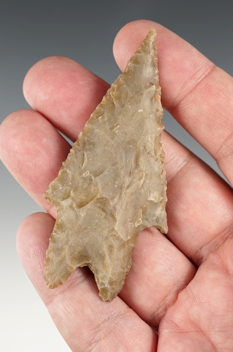 3 1/16" Texas Pedernales that is well patinated. Comes with a Rogers COA.