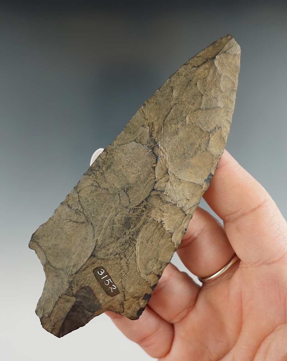 4 5/8" Snook Kill Spear found in the Hudson Valley, Westchester Co., New York. Ex. Derek Prindle