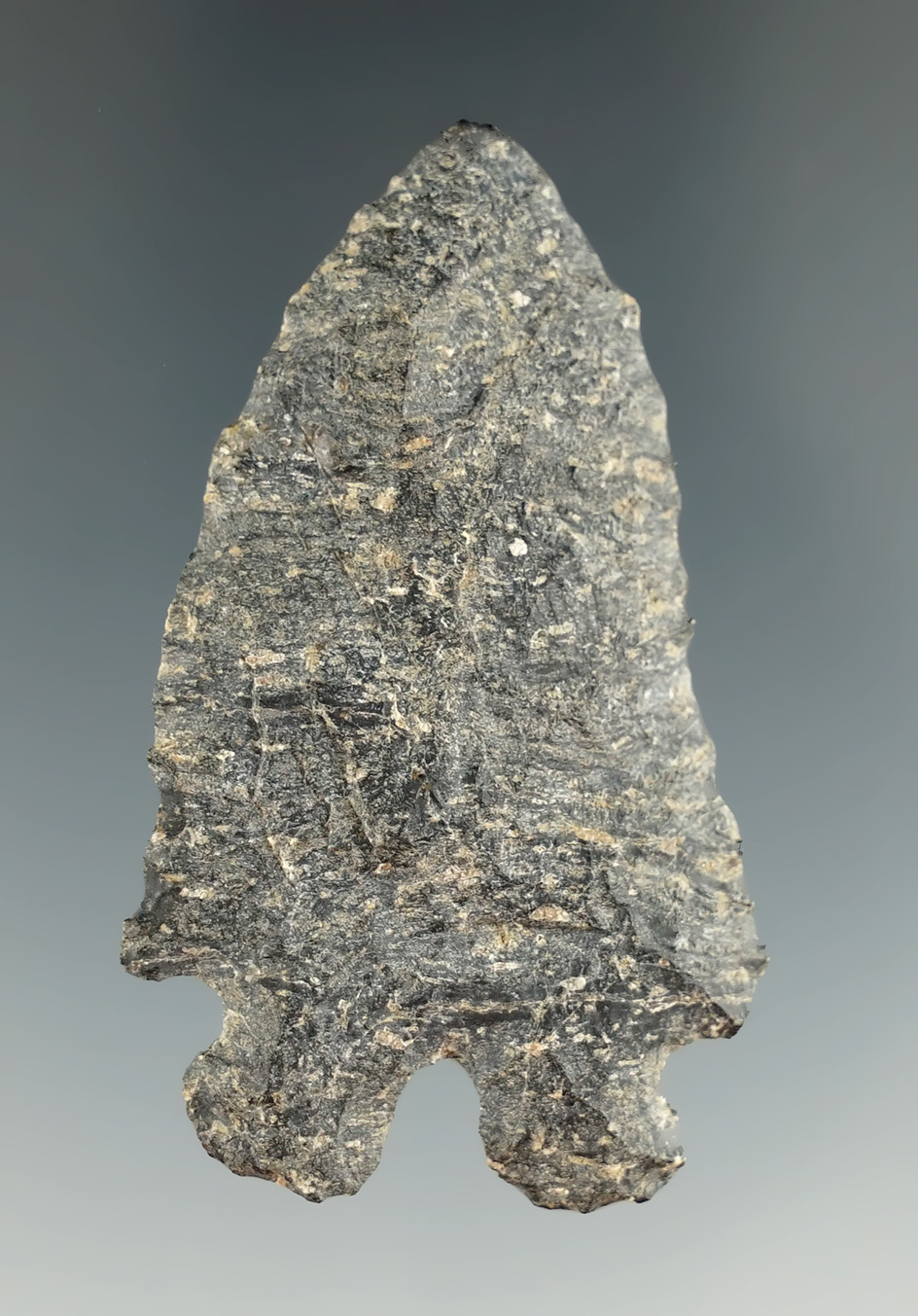 2 3/16" Bifurcate Point found near Afton, New York on the Decker farm, Shenango Co. Ex. Prindle