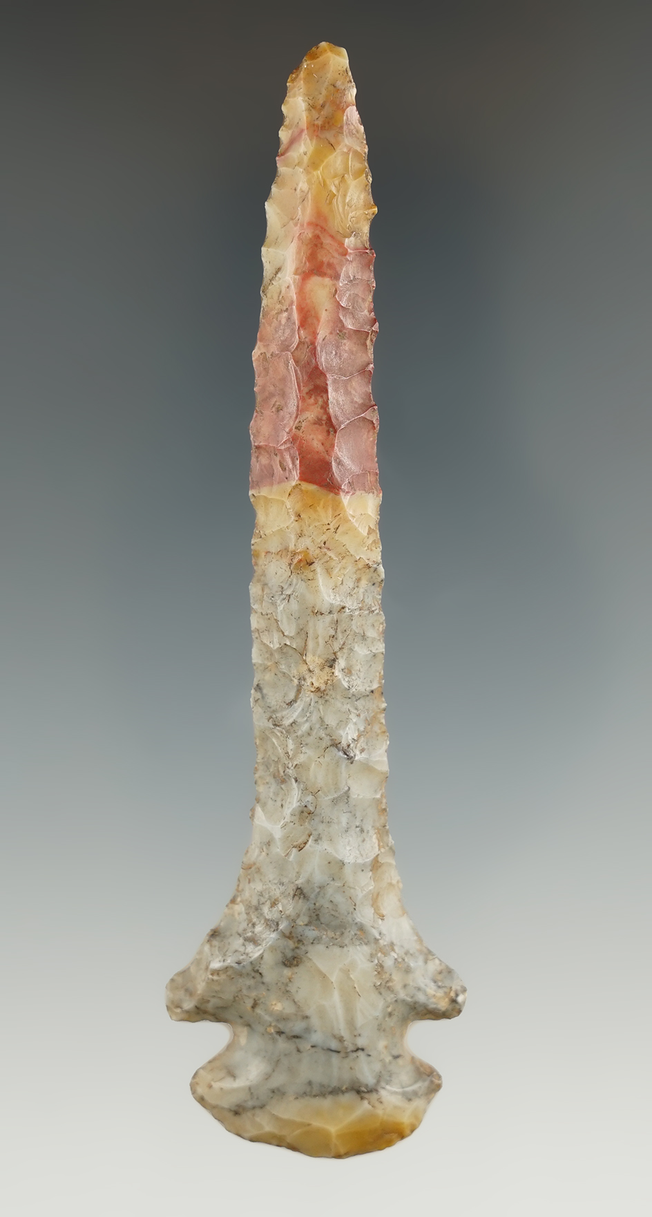 4 1/8" Highly colored Flint Ridge Dovetail Drill. Found in Scioto Co., Ohio.  Rogers COA.