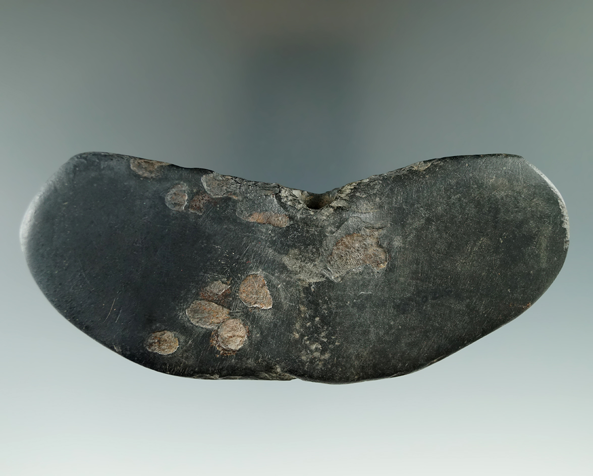 5 1/8" Wing Bannerstone, one wing restored found by T. Horner Richland Co., Ohio.