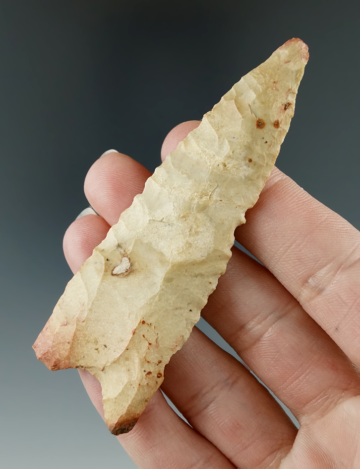 3 9/16" Well styled Dalton found in Arkansas.