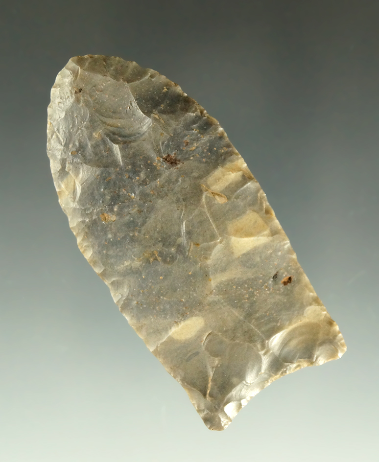 2 1/2" Paleo Unfluted Clovis found in Stuart Co., Tennessee made from Hornstone. Bennett COA.