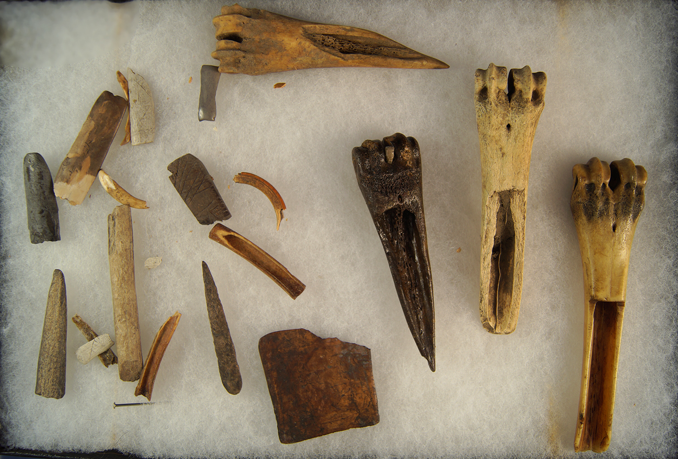Group of assorted bone artifacts, some with damage, found in Alaska.
