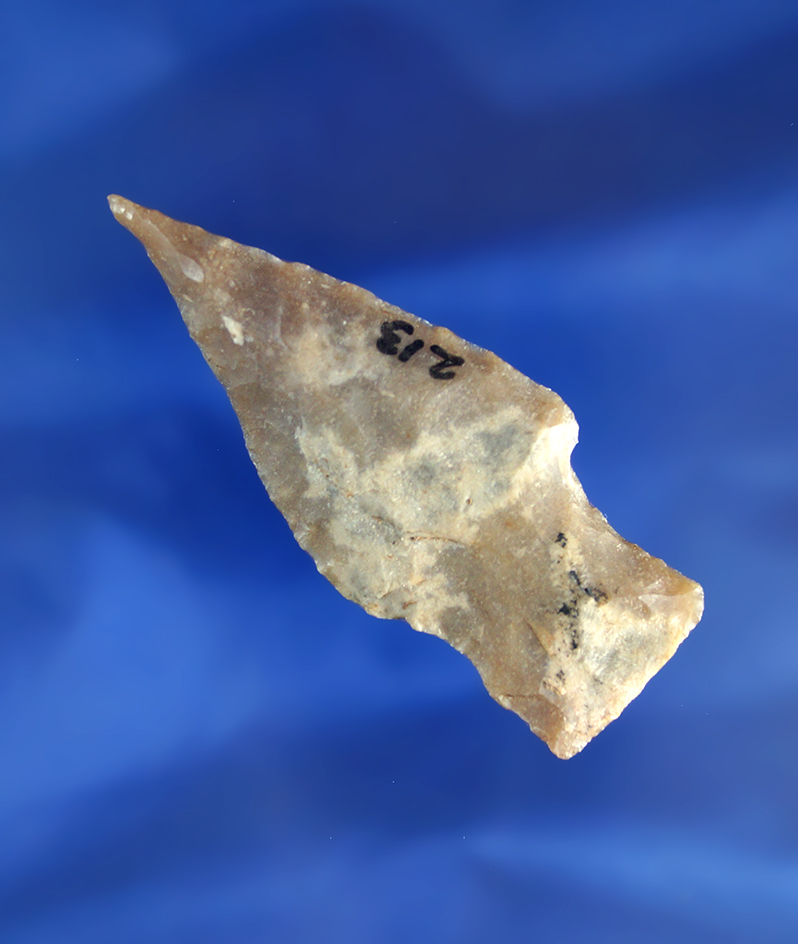 Excellent needle tip on this beveled 2 5/8" Nolan point found in Texas.