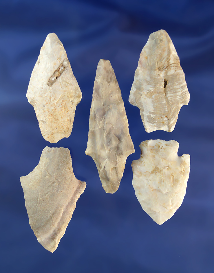 Set of five assorted arrowheads found in Missouri, largest is 2 9/16".