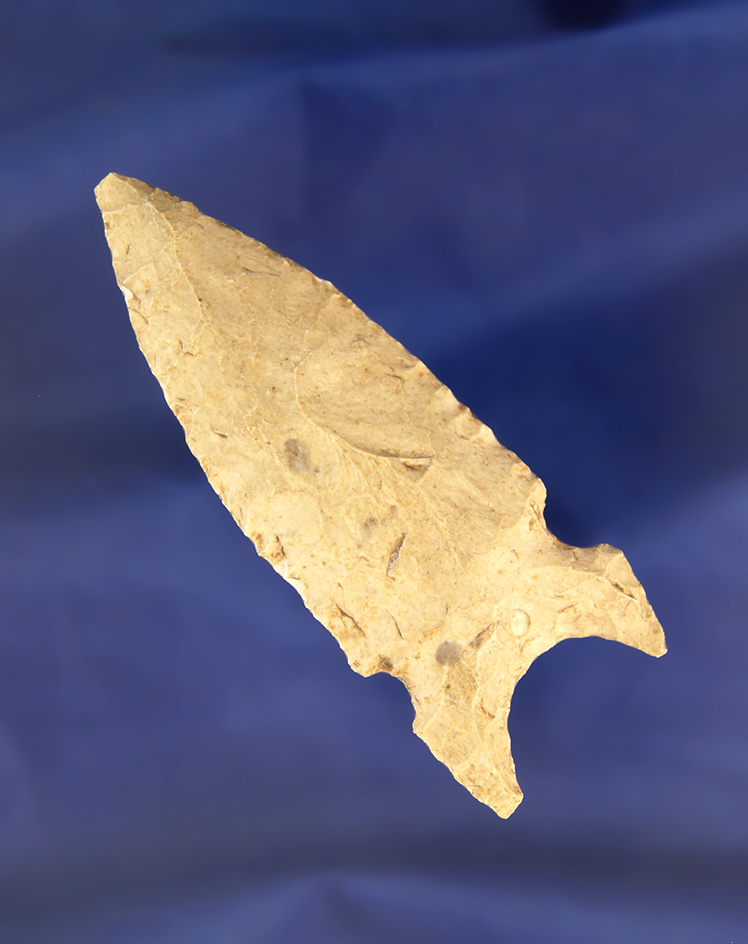 2 7/8" Graham Cave found in Missouri with excellent style.