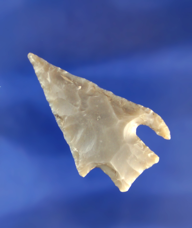 2 1/8" Shumla point found in Texas.