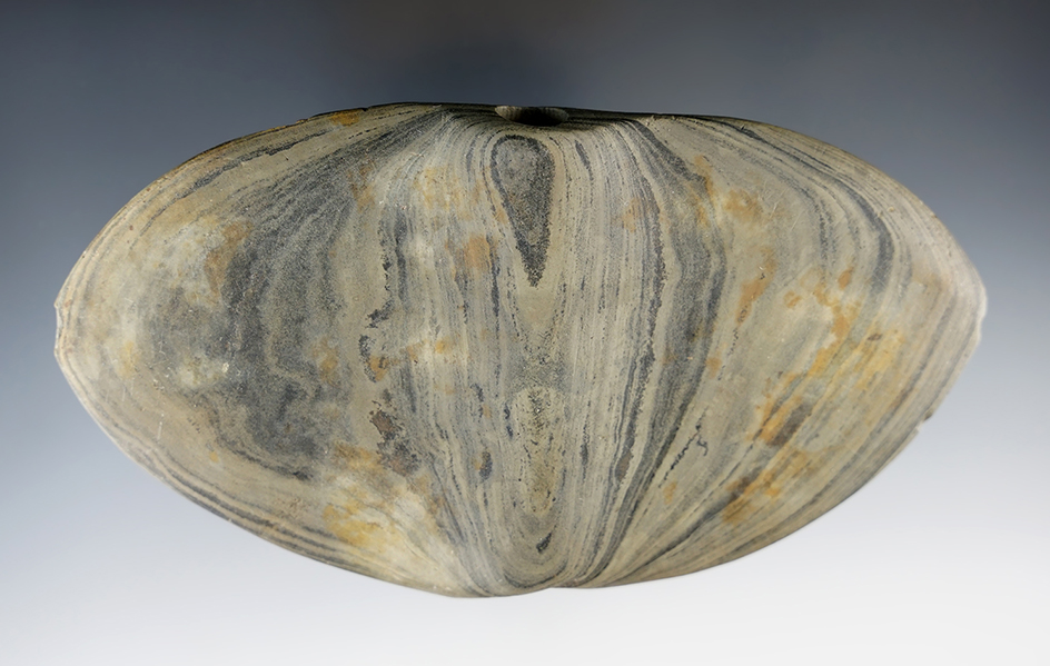 5 1/2" x 2 7/8" Banded Slate Wing Banner found in Michigan.