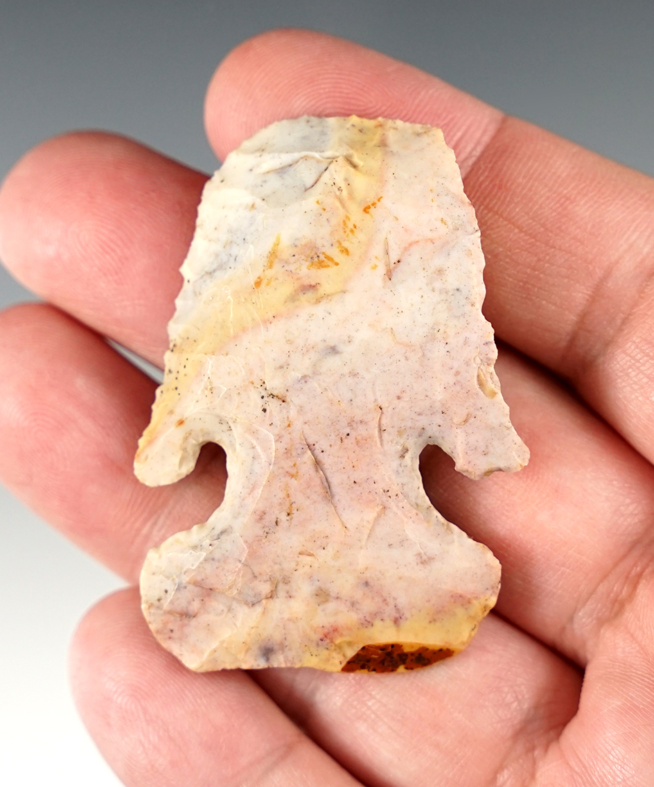 2 1/8" Archaic Thebes Deep Notch Bevel Blunt - Flint Ridge Flint. Found in Marion Co., Ohio.