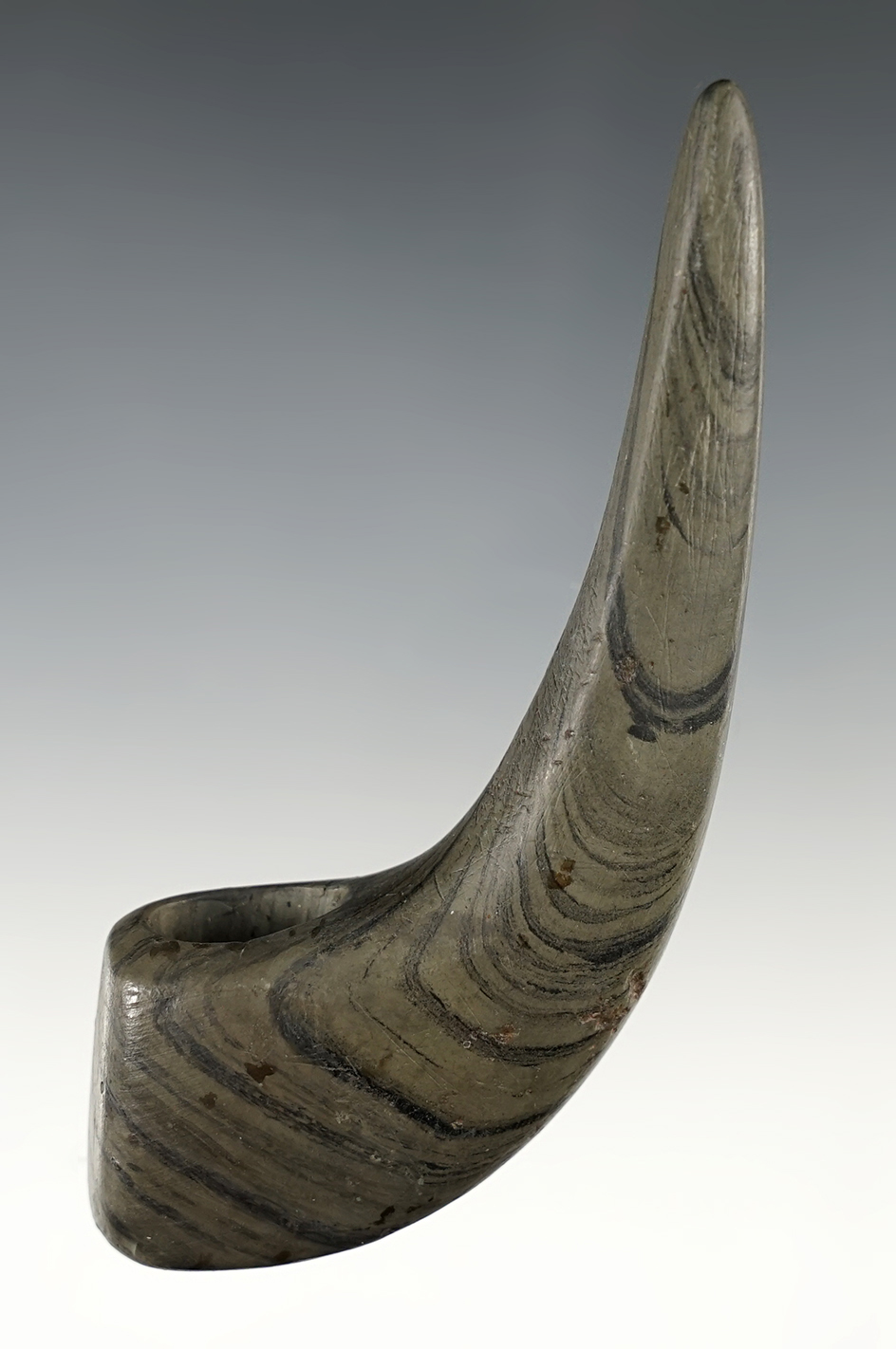 4" Geniculate found near Brookville, Montgomery Co., Ohio. Restoration to part of bottom.