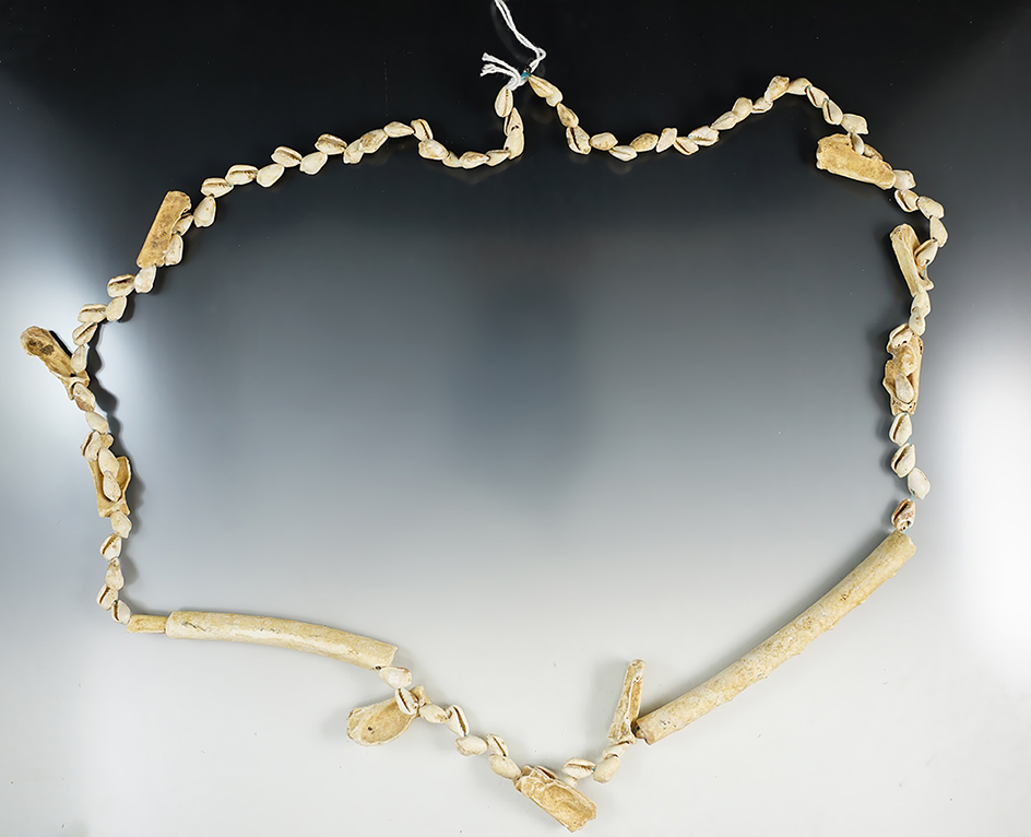 36" Long strand of drilled shell and bone beads recovered in Kentucky. Very nice set.