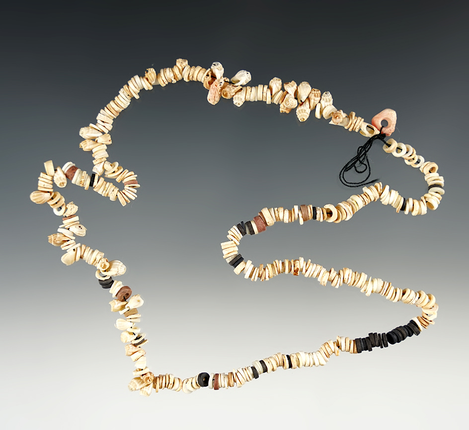 16" Strand of Shell Beads in good condition. Found in New Mexico.