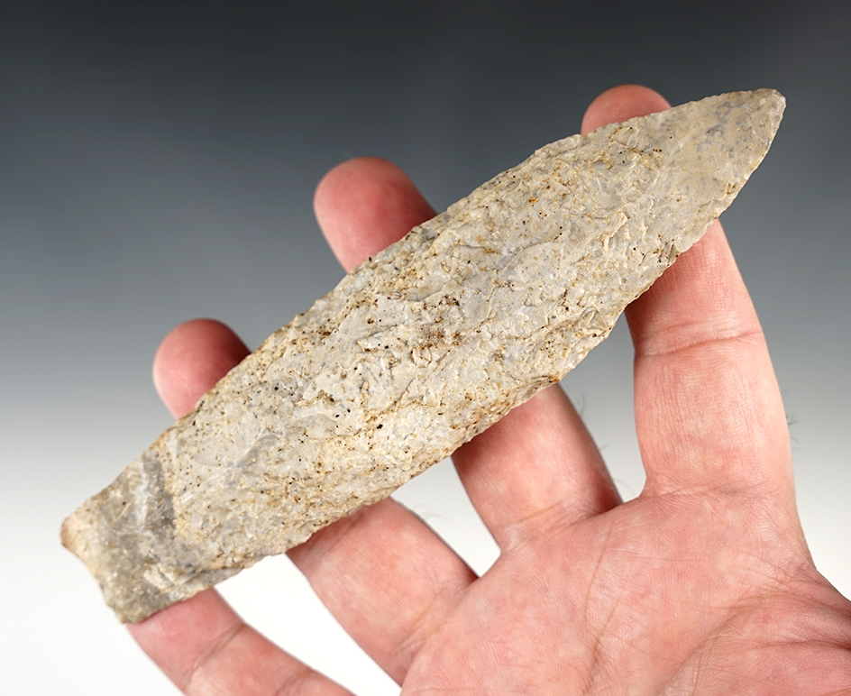 Large 5 13/16" Sedalia found in Pettis Co., Missouri.