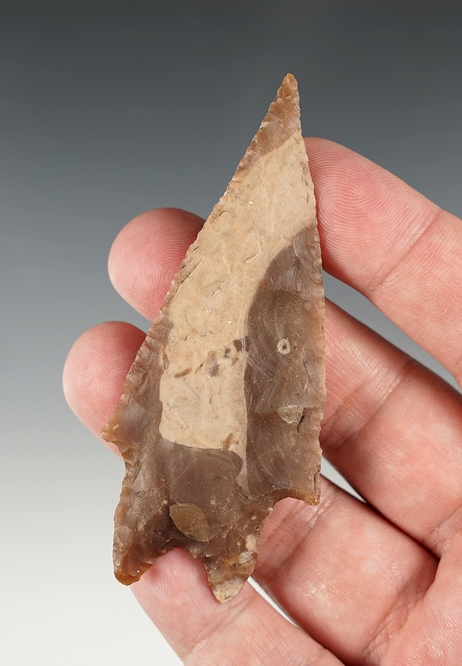 Finely made 3 3/8" Pedernales found in Bandera Co., Texas. Ex. Bill Arnold. Rogers COA.