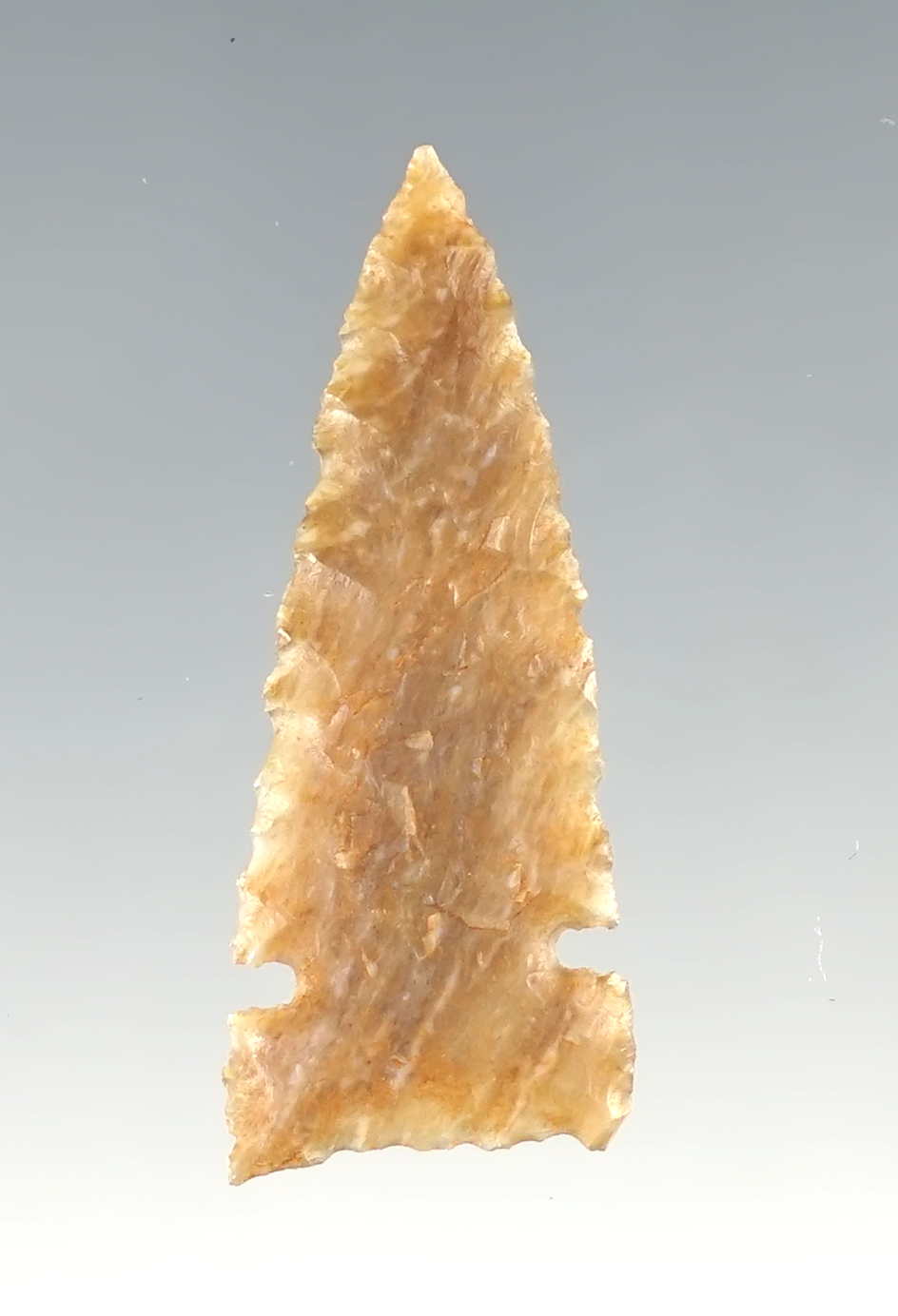 Incredibly thin 1 5/16" Kin Klesto Side Notch found in San Juan Co., New Mexico.