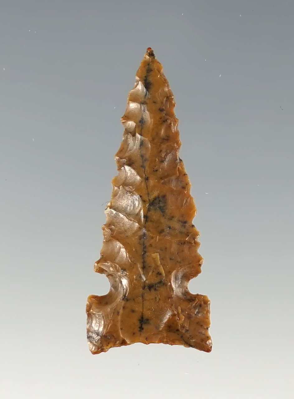 1 3/16" Plains Side Notch found in Cherry Co., Nebraska. A well made example. Jeb Taylor COA.