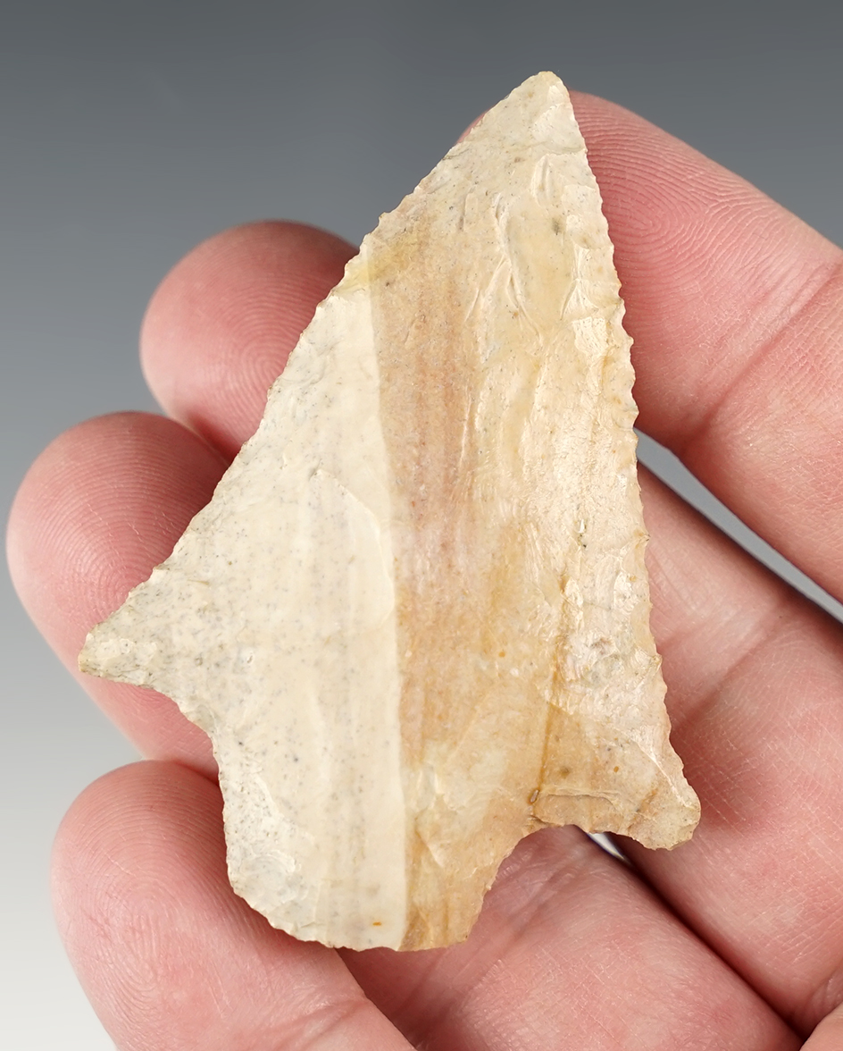 2 1/2" Stemmed point found in Marion Co., Florida. Great edge work.