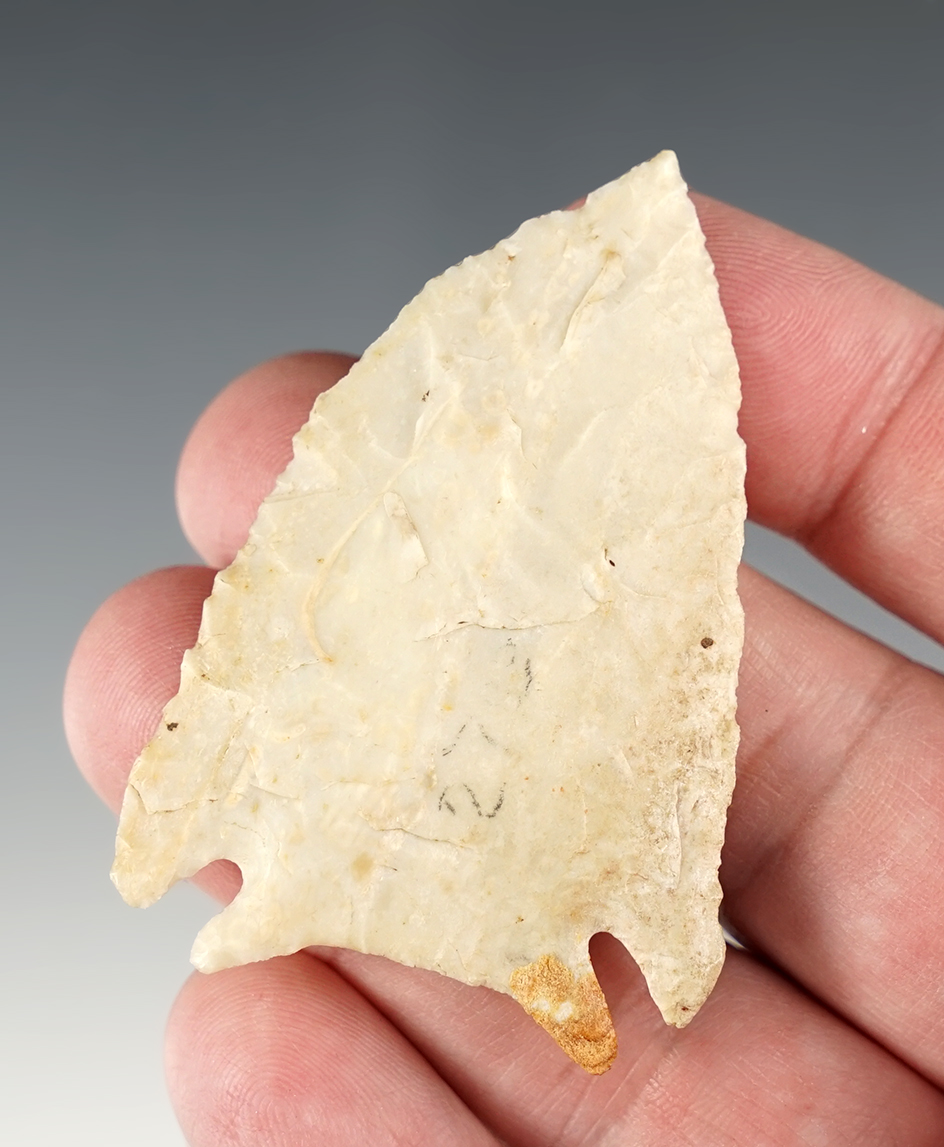 2 9/16" Pulaski found in Illinois. One basal corner has been restored. Ex. David Bogle collection.