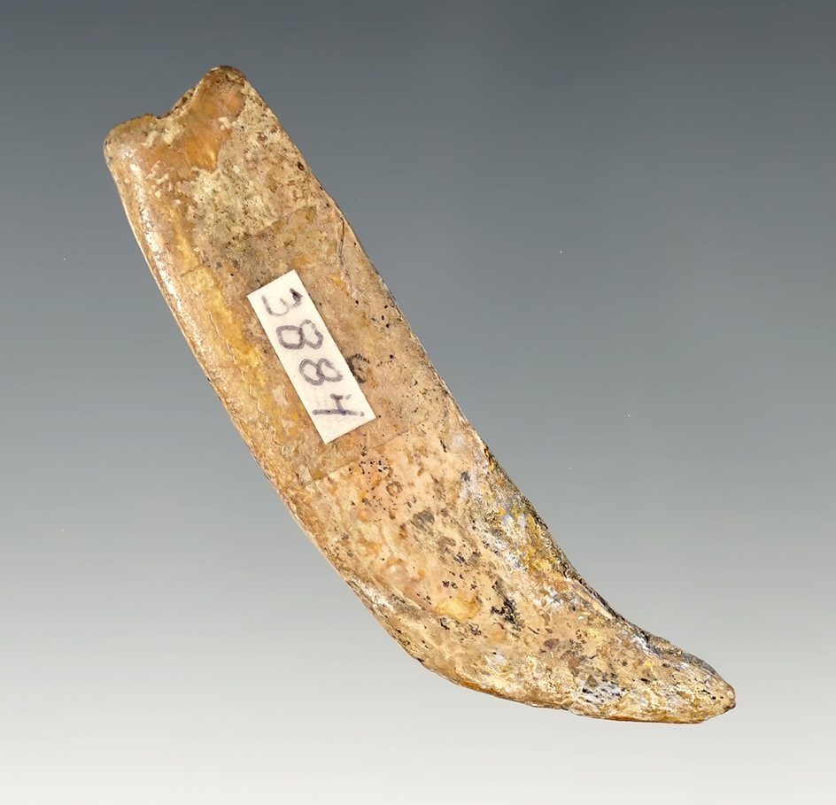 2 1/2" Talon Effigy found in southern Ohio. Ex. Kley.