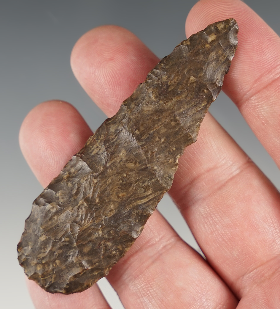 3 3/16" Knife made from attractive Petrified Palmwood. Found in San Juan Co., New Mexico.