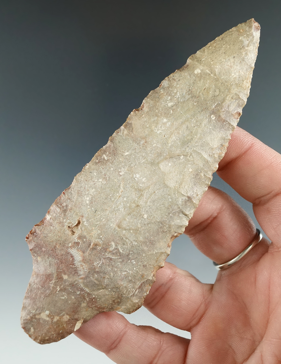 Large 4 11/16" Waubesa Knife - Garfield Co.,  Oklahoma.  Kay County Flint. Perino COA.