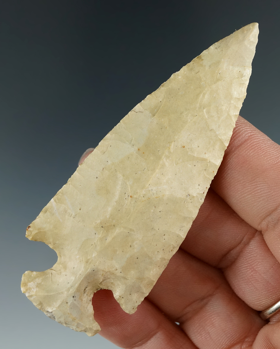 3 1/8" Cupp - Ft. Payne Chert, restoration to the tip. Perry Co., Tennessee. Davis COA.