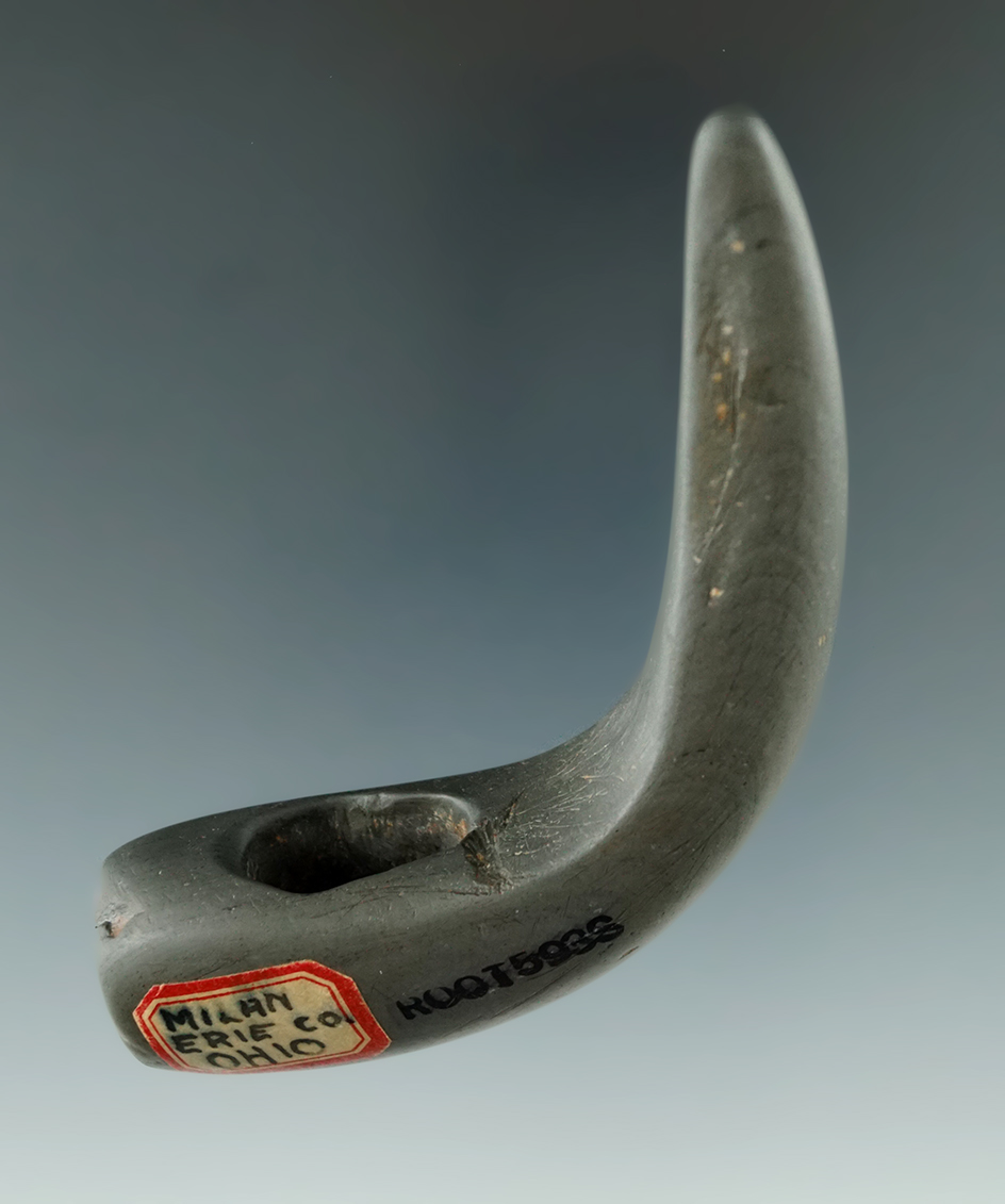 Pictured! 3 3/4" Geniculate found prior to 1941 along The Huron River, Milan, Erie Co., Ohio.