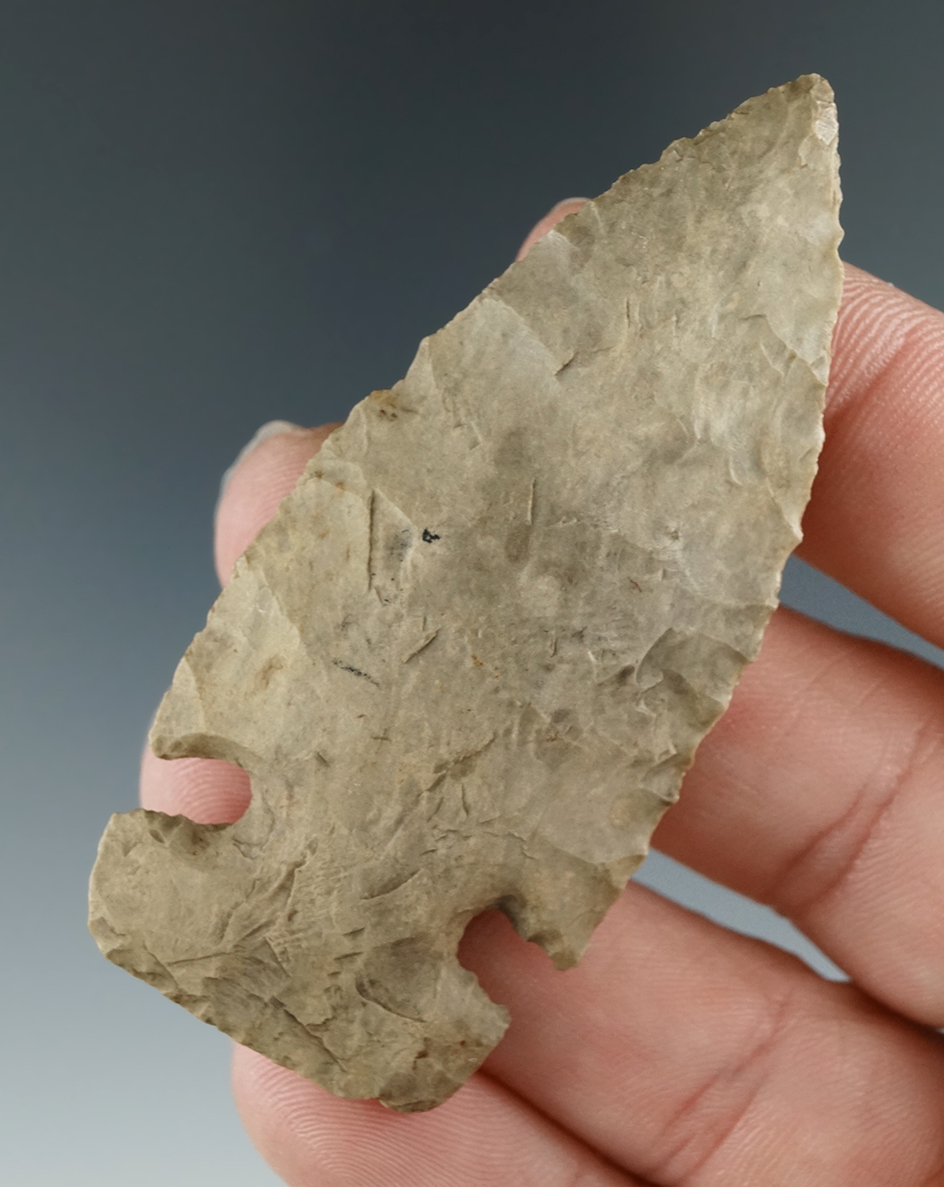 Nicely styled 2 5/8" Cache River - Dover Chert from Tennessee.  Jackson and Bennett COA's.