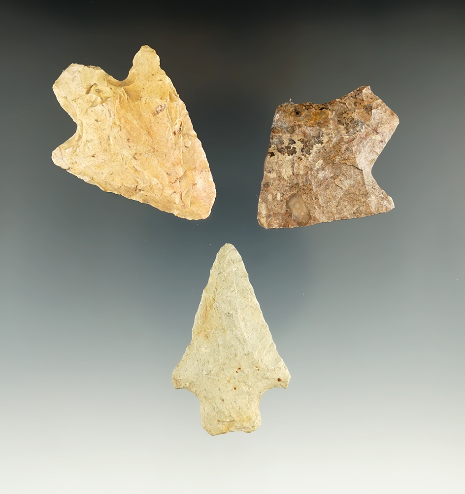 Set of three assorted early Archaic points found in Marion and Alachua Counties, Florida.