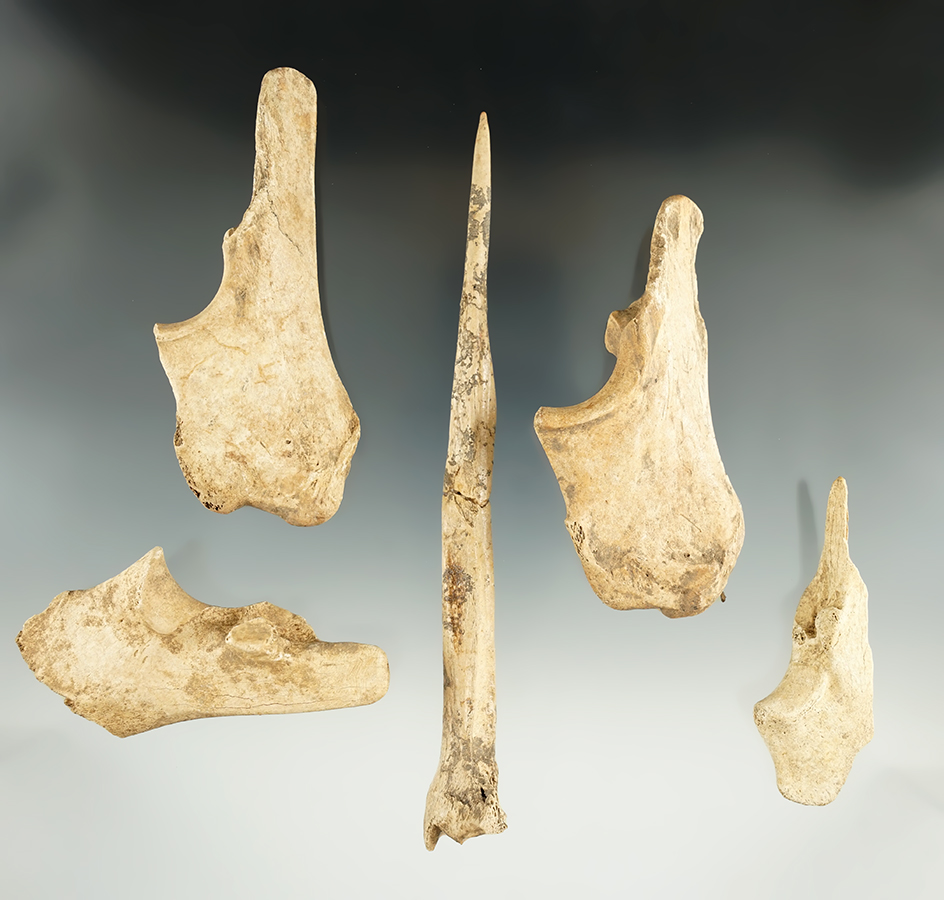 Set of five bone tools found by Art Gerber in Indiana, largest is a broken in glued 6 3/8" awl.