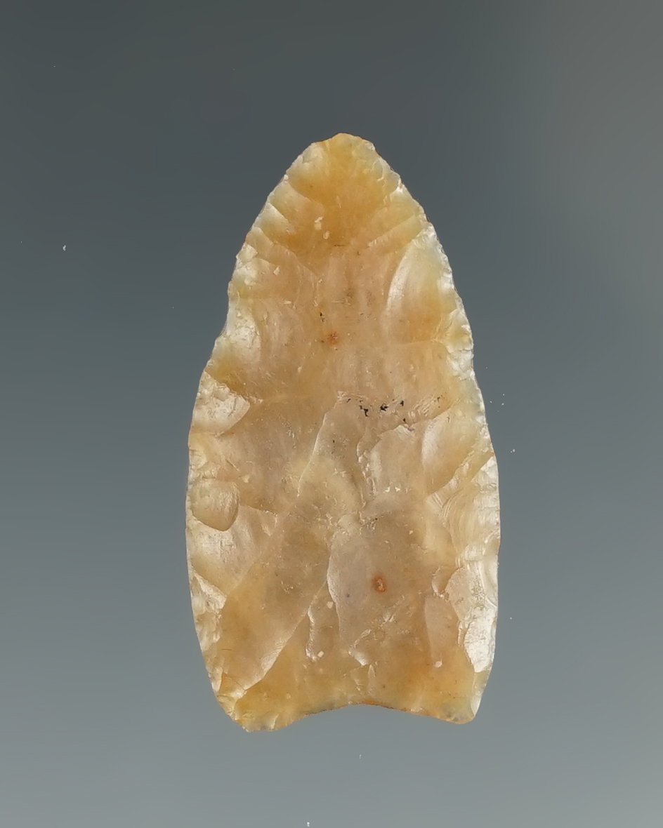 Ex. Perino - Pictured! Rare and nice! 1 1/4" Paleo Belen found  near Truth or Consequences, NM