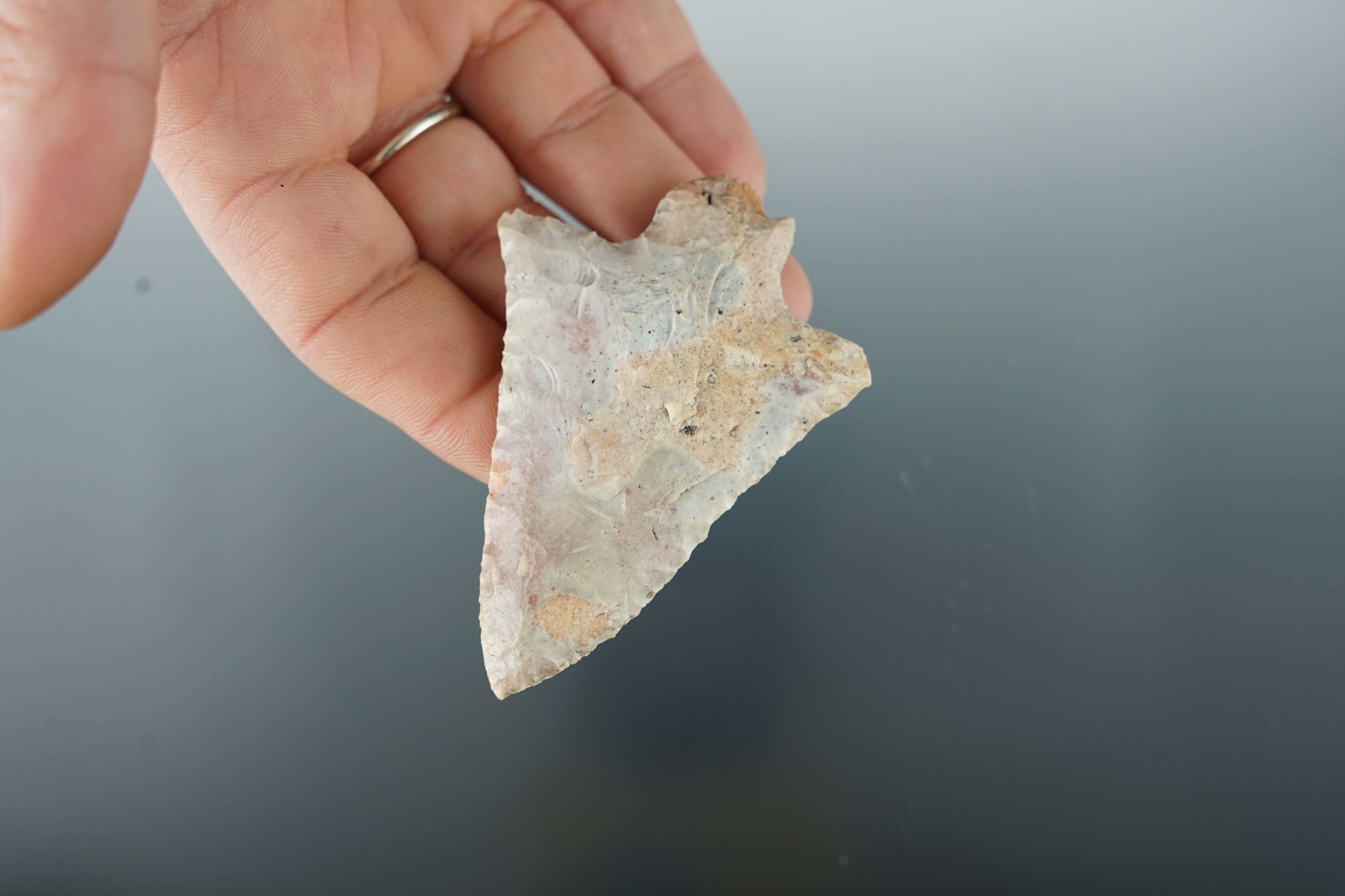 2 3/4" Levy Knife found in Florida.