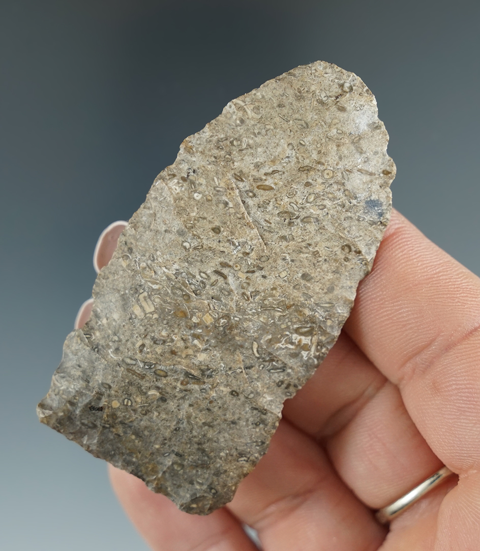 2 5/8" Cowhouse Slough found in Florida.