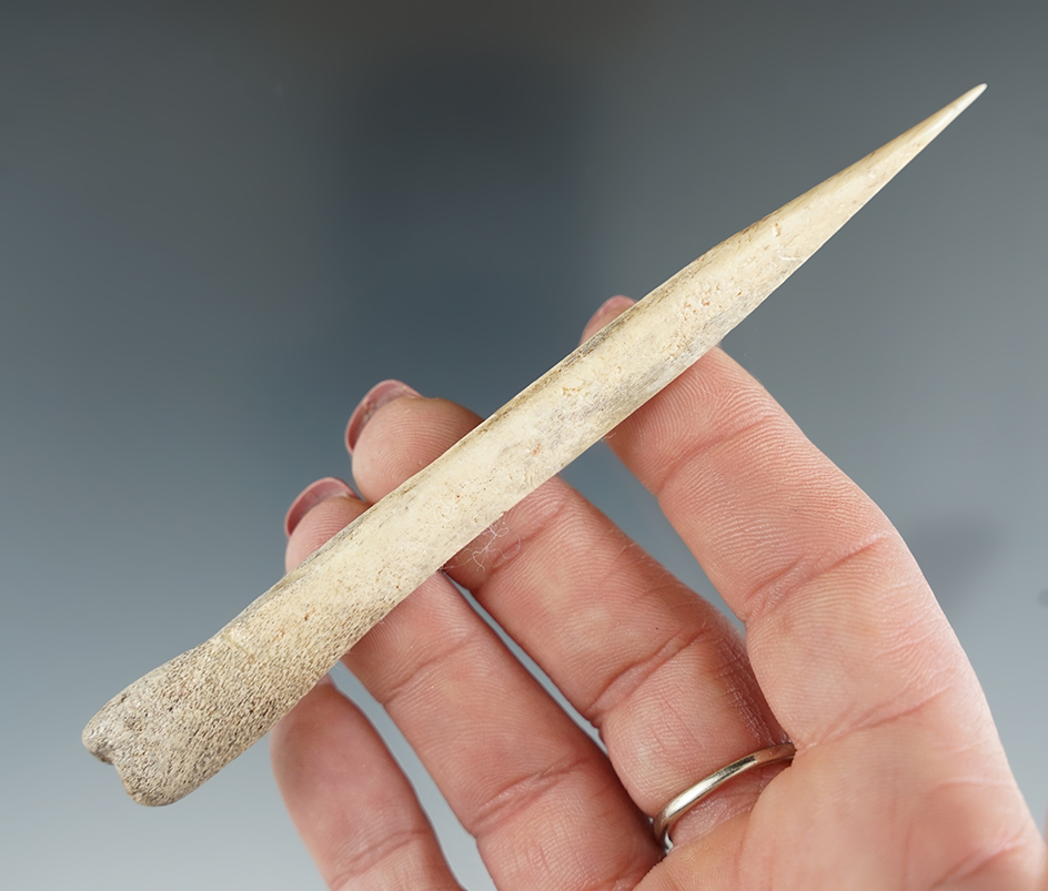 Ex. Perino!  4 7/8" bone awl found by Charles Childers in a cave near Tecolote, New Mexico.