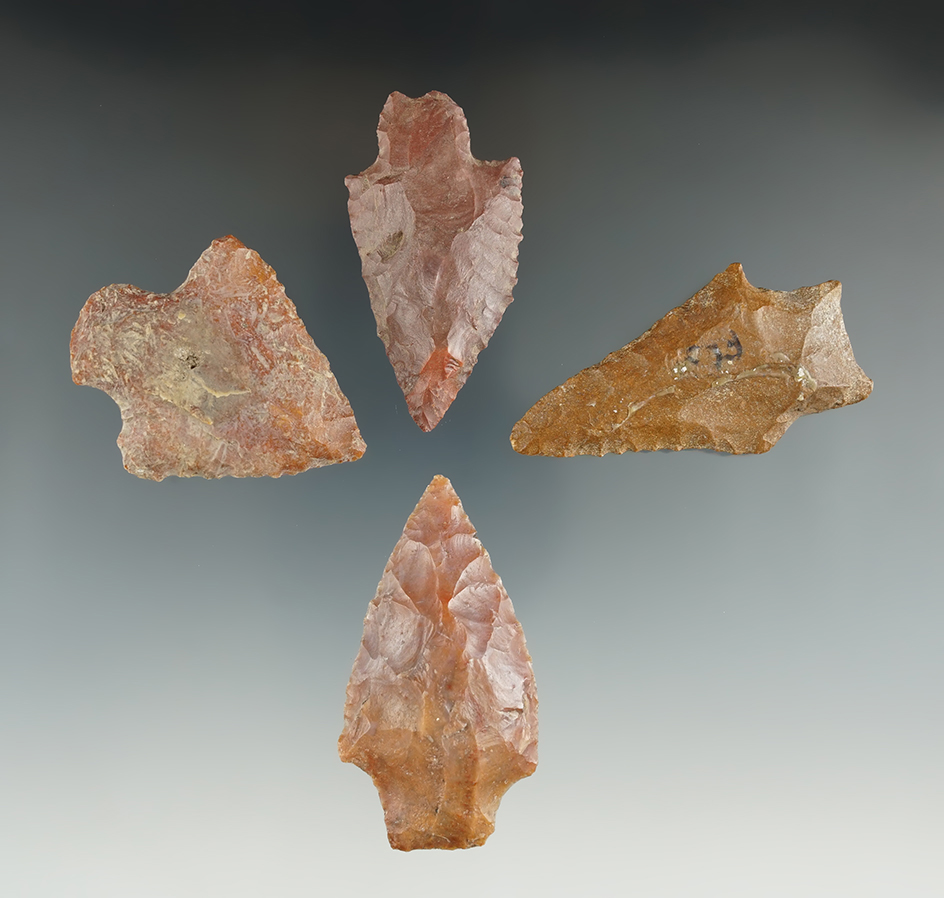 Set of four assorted Florida point, largest is 2 1/4".