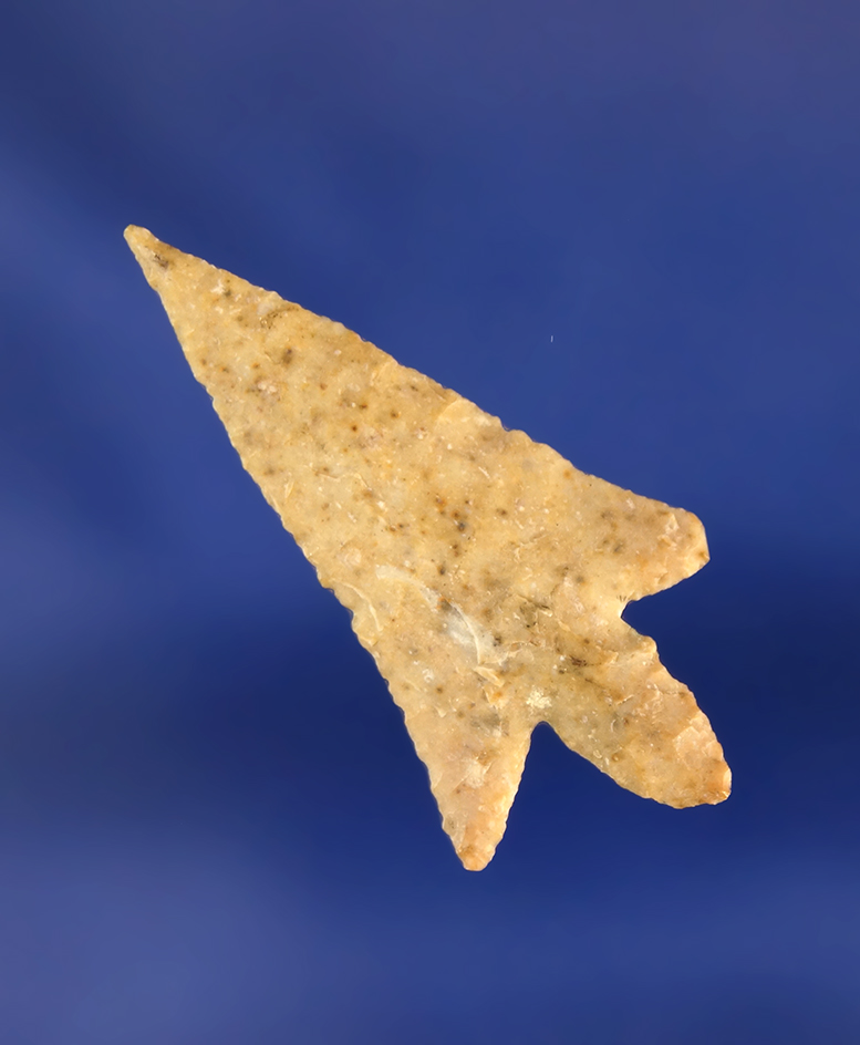 Thin and nicely styled 1 5/8" Perdiz point found in Texas.