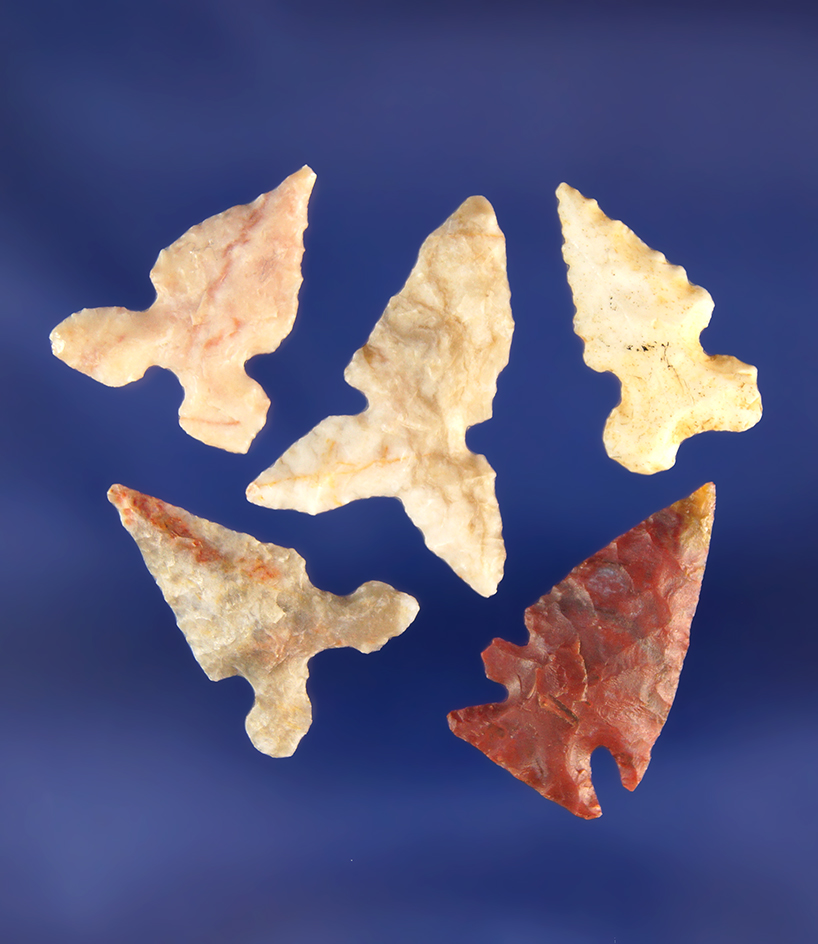 Set of 5 Birdpoints found in Texas all are in good condition, largest is 7/8".