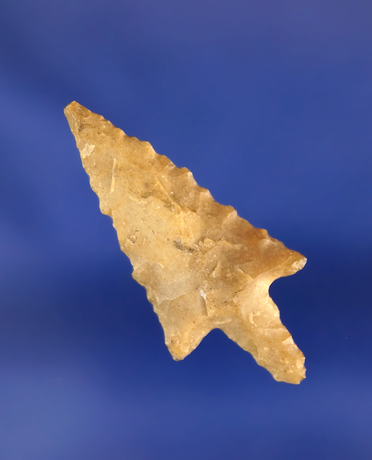 1 3/8" Perdiz point found in Texas.