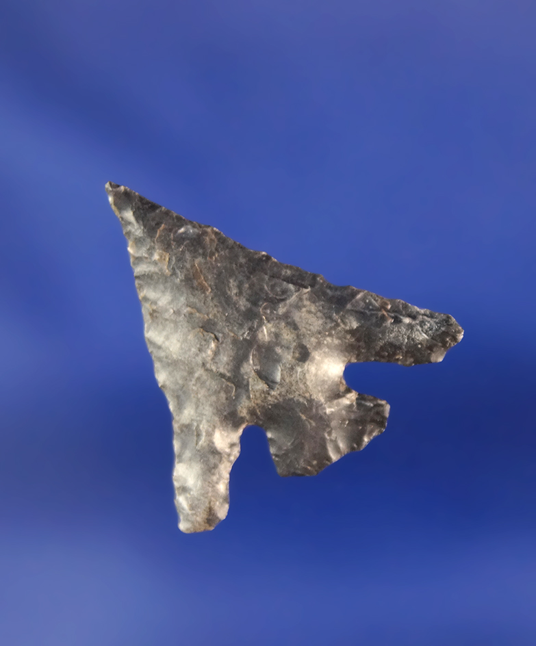 7/8" Eastgate found near the Columbia River, Washington.