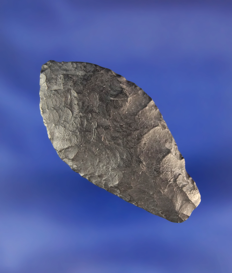 Exceptional! Perfect flaking, excellent condition and style on this 1 11/16" Paleo  Spedis.
