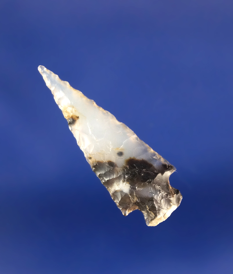 Incredible material on this black in translucent agate 1" Rose Springs Gempoint found in WA.