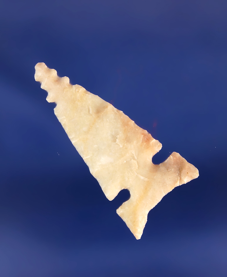 1 3/16" beautifully flaked Sidenotch - unique tip serrations and quality material - Southwest TX.