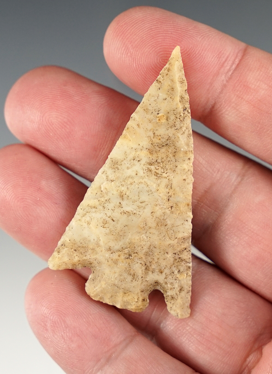 Thin and well flaked 2 1/8" Florida point.