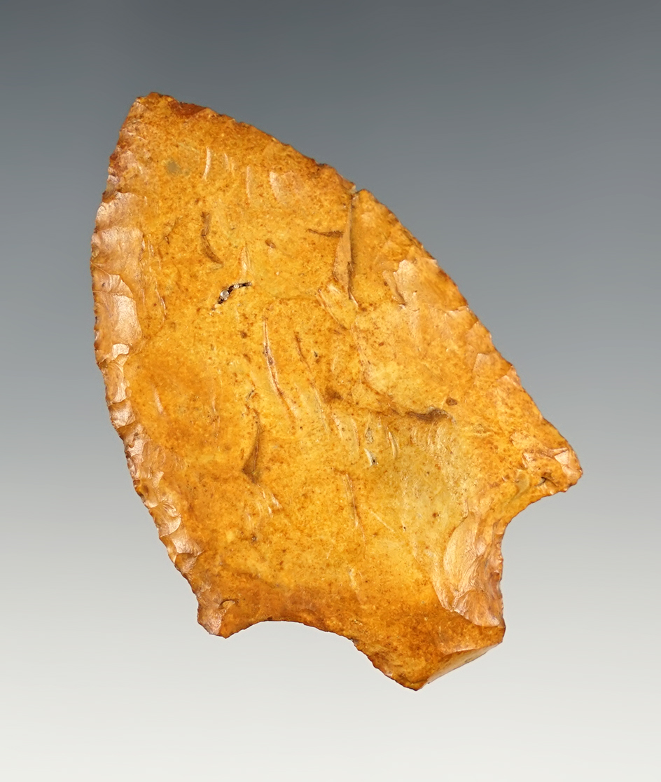 Heavily patinated 2 3/8" Cypress Creek - Florida.